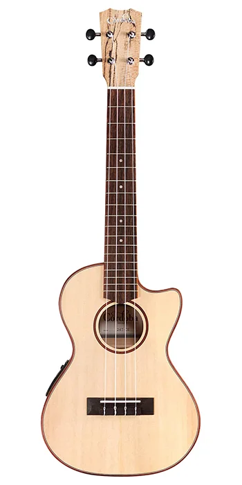 24T-CE Spruce
