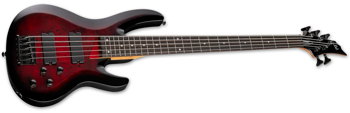LTD B-205DX