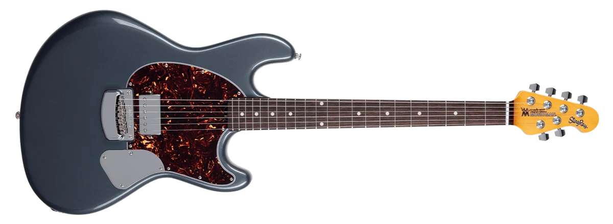 Stephen Egerton StingRay Guitar