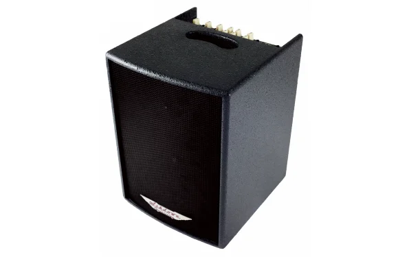 Acoustic 100 - BK