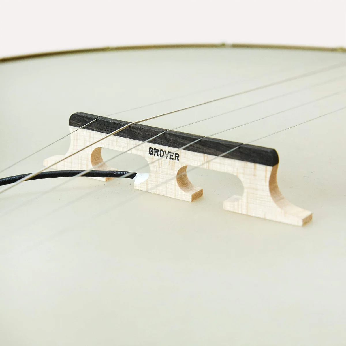 Baggs Banjo Pickup