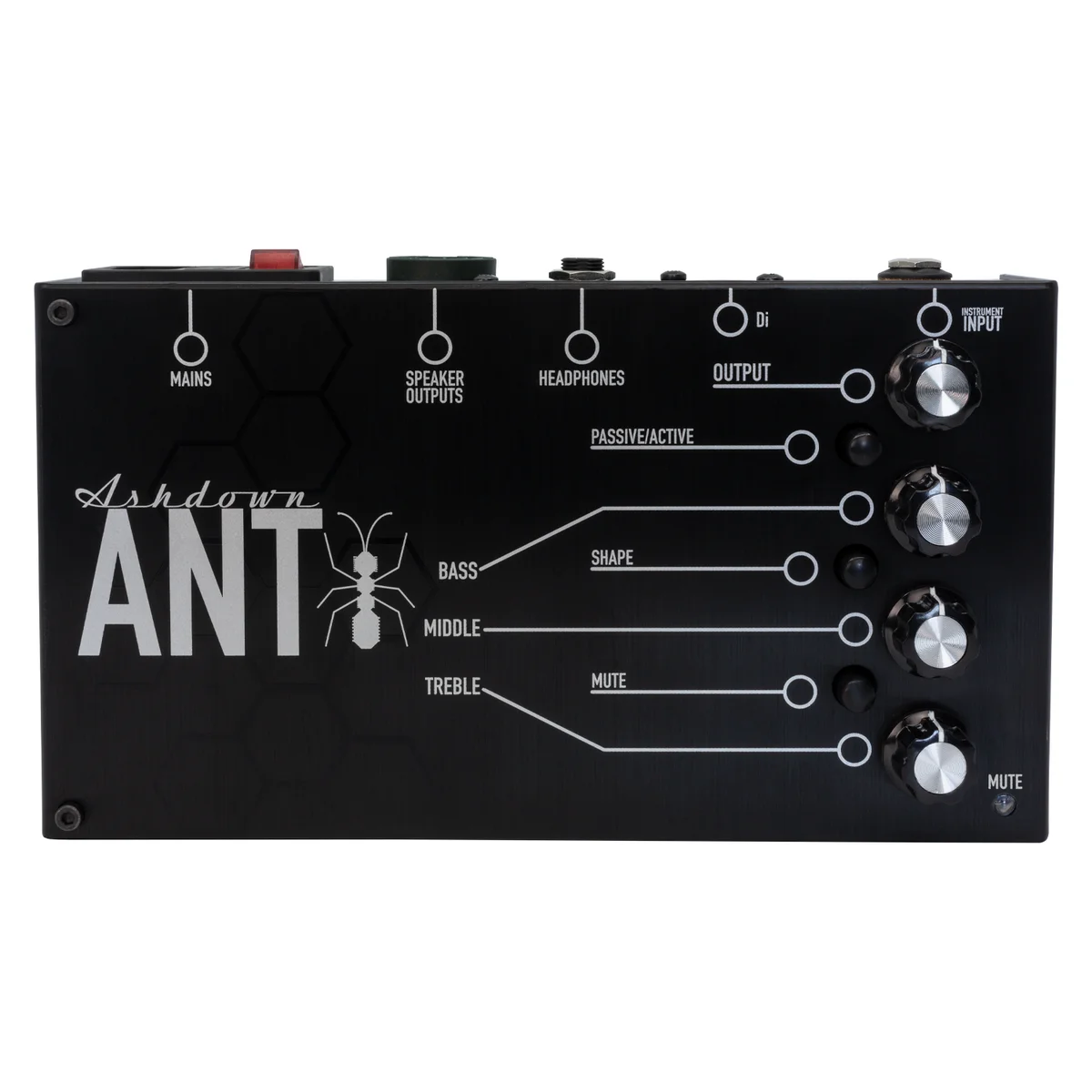 The Ant