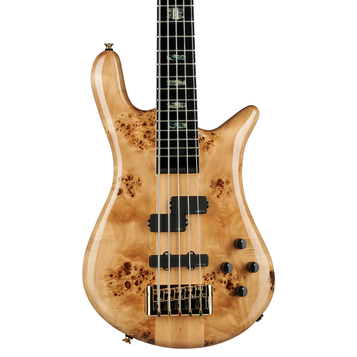 Euro CST 5 String