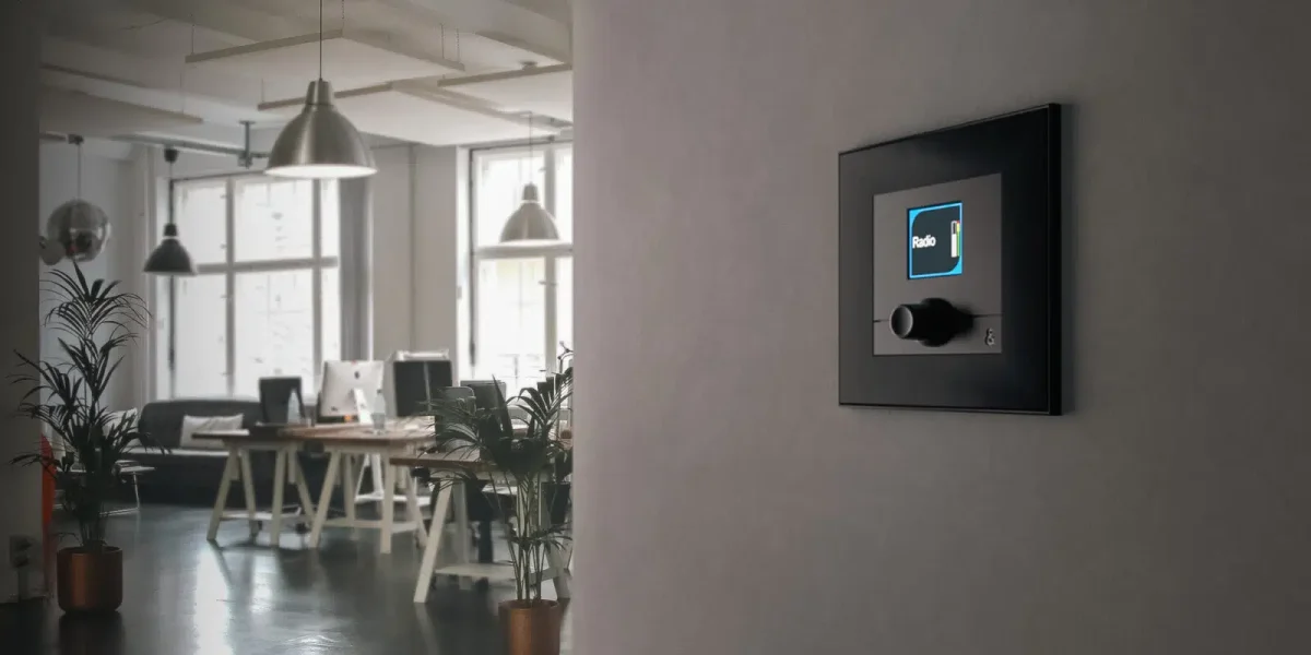 IP1