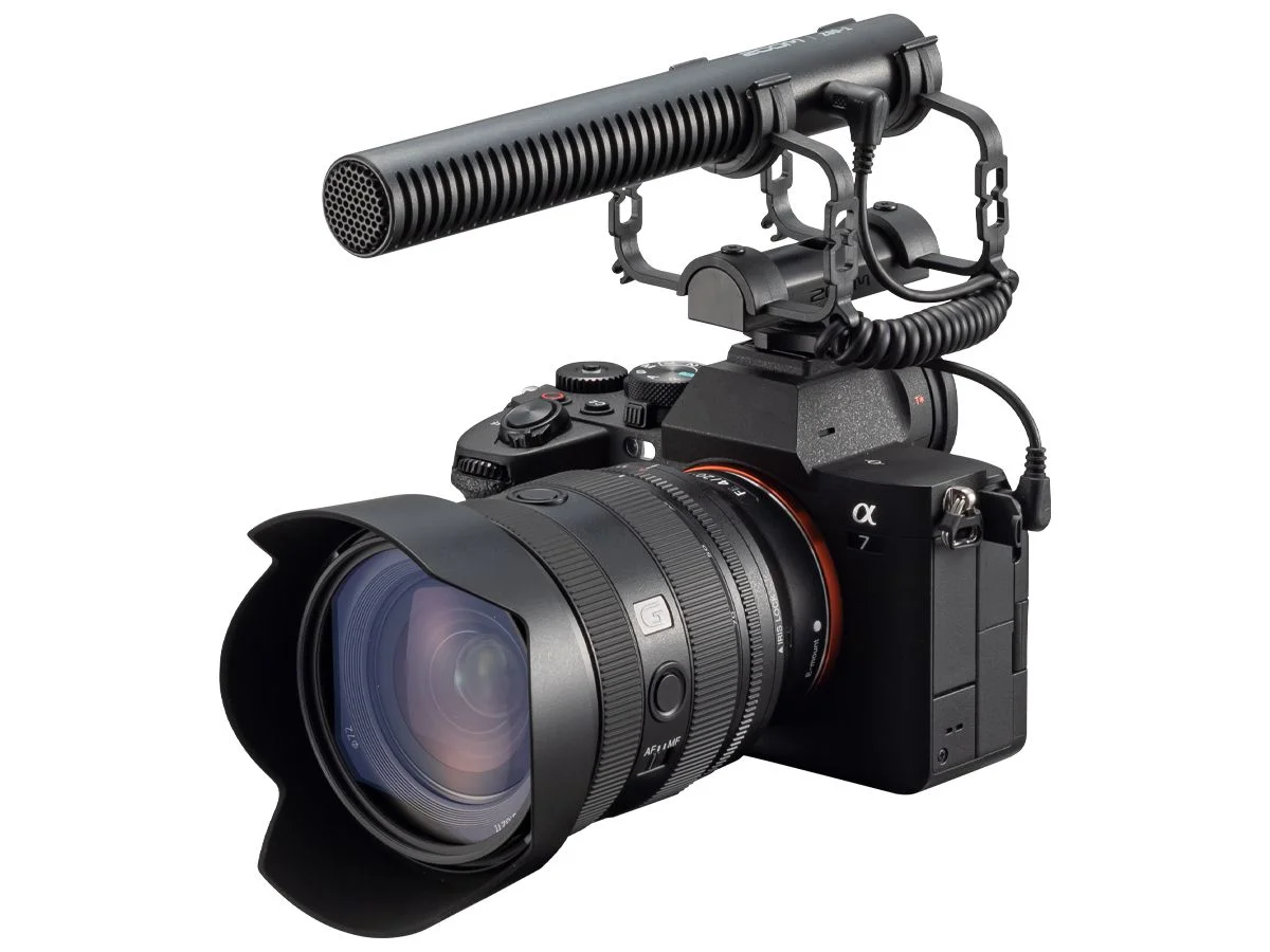 ZSG-1