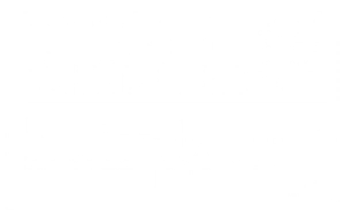 MiniBrute 2S