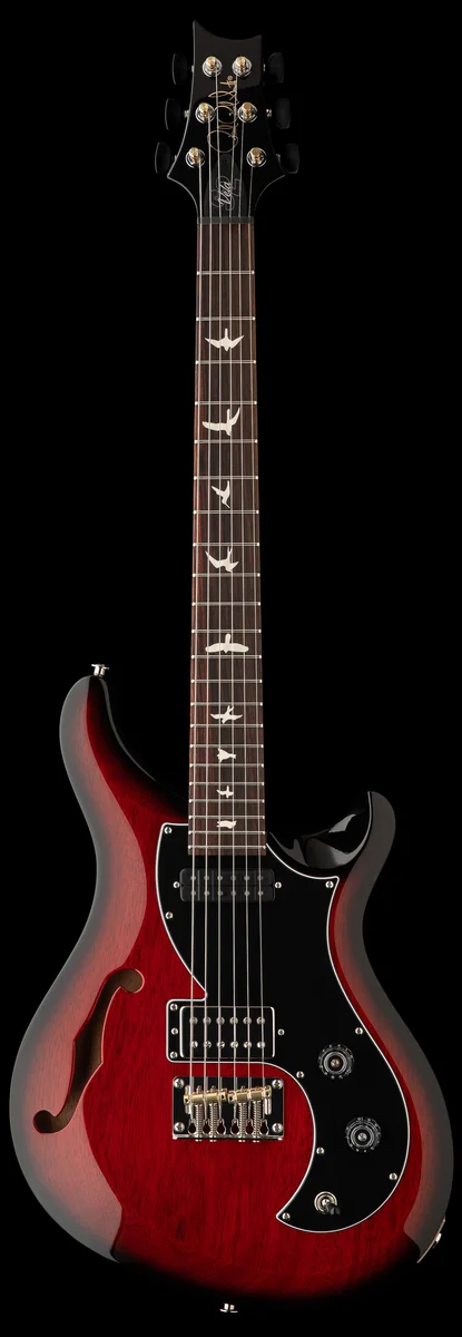 Special Semi-Hollow
