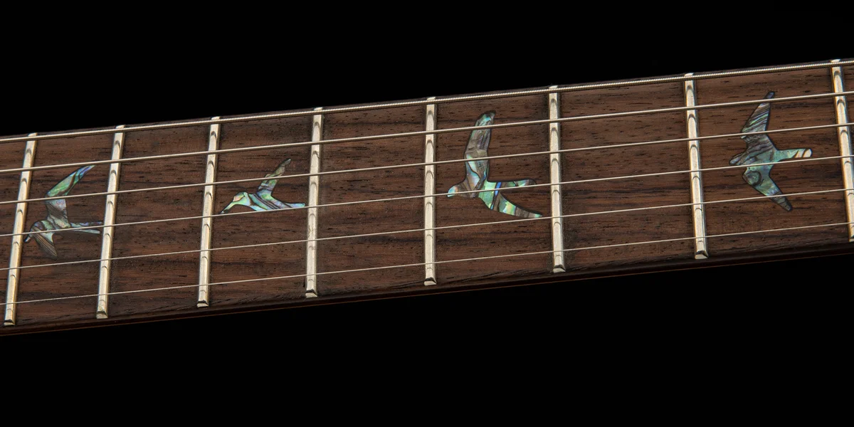 SE Paul's Guitar