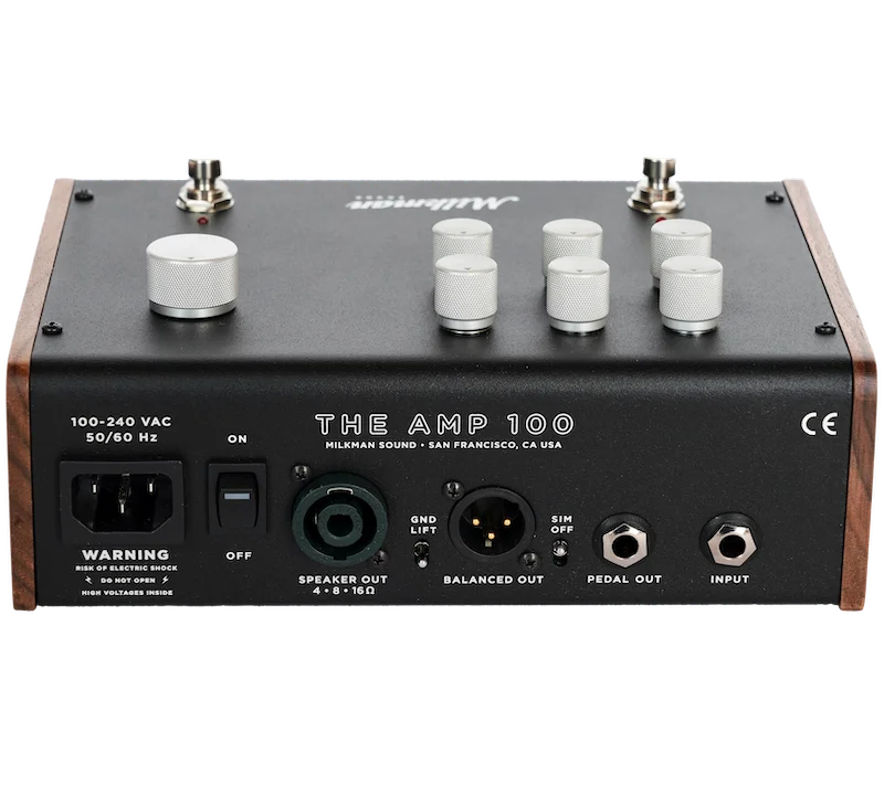 The Amp 100