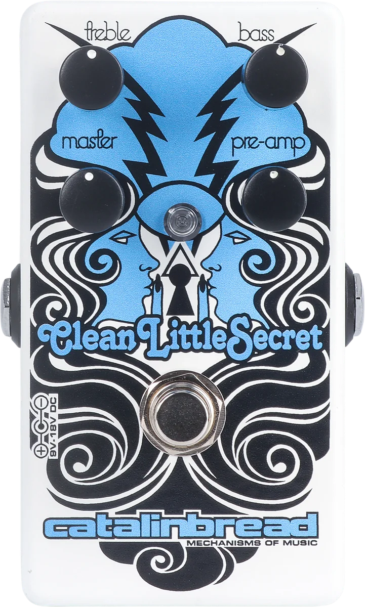 Clean Little Secret
