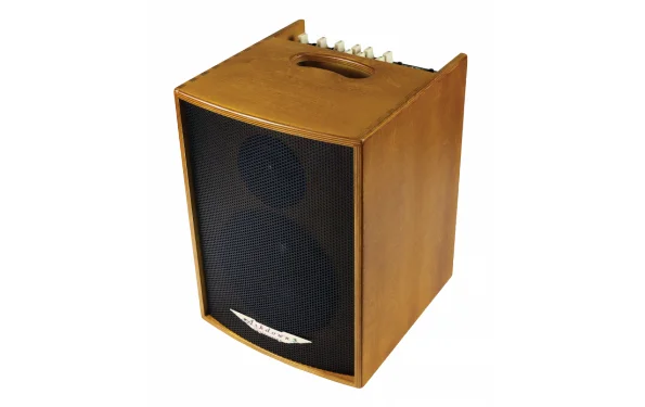 Acoustic 100
