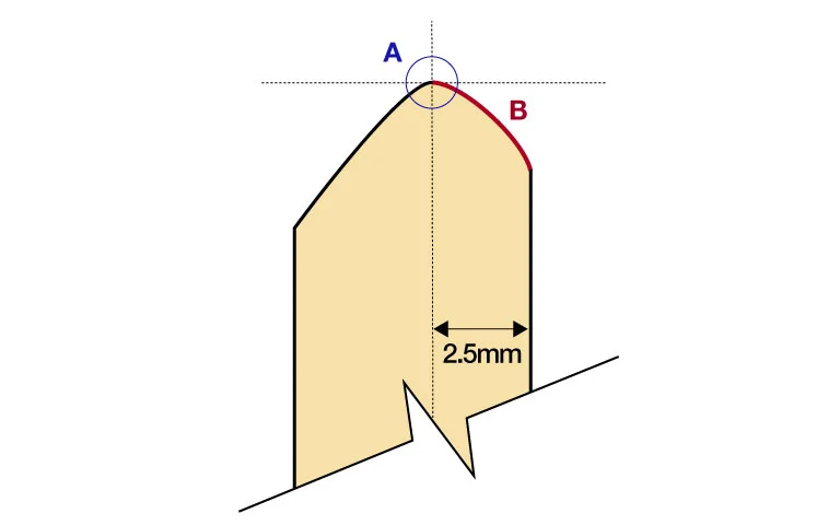 Starclassic Walnut/Birch