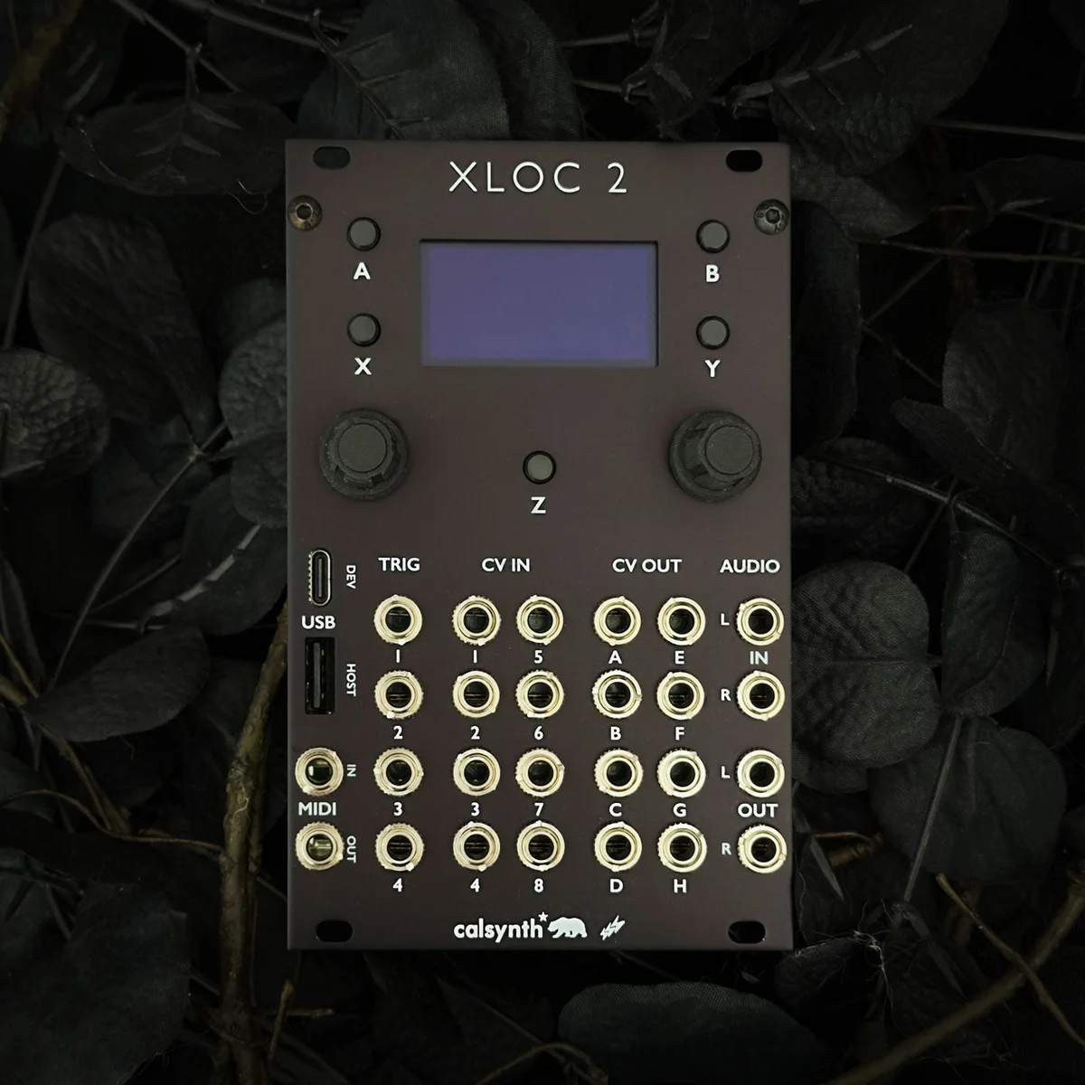 XLOC2