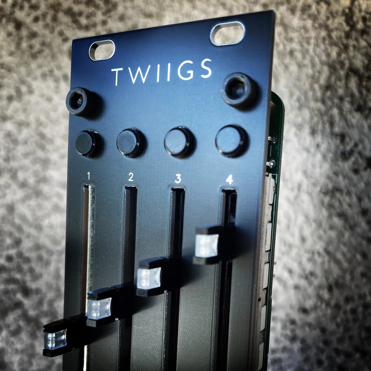 Twiigs