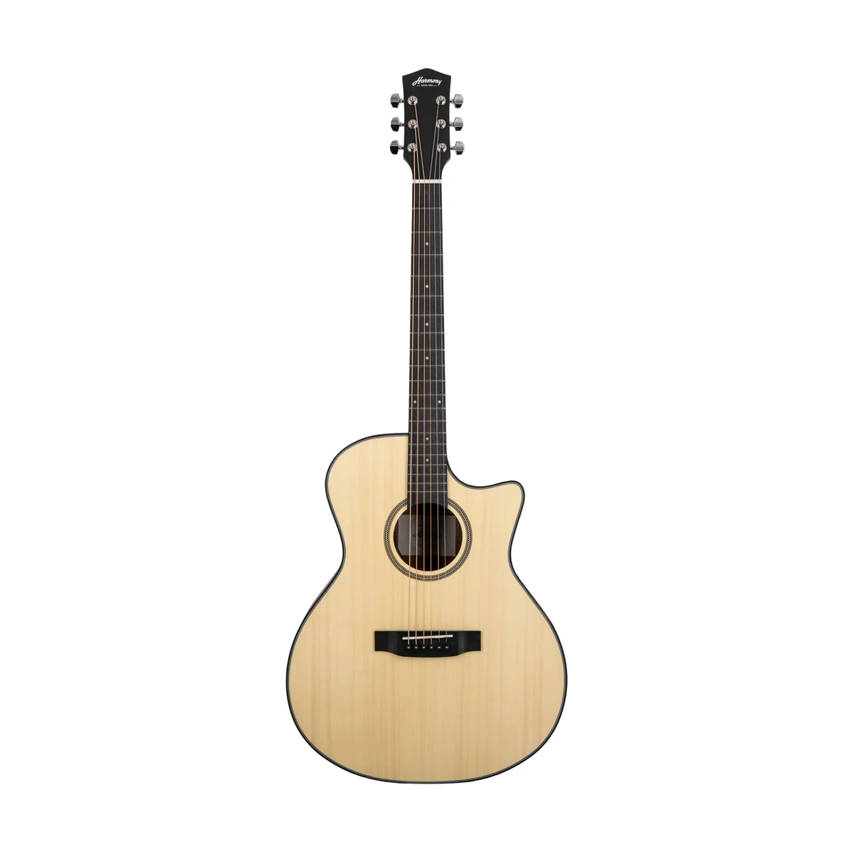 Foundation Series e-Terra ST GA Cutaway Acoustic Guitar