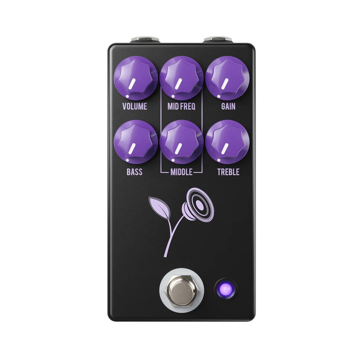The Violet