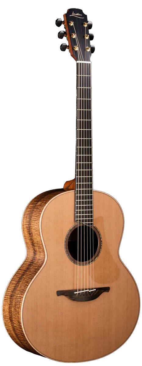 50 Tasmanian Blackwood