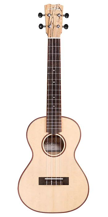 24T Spruce