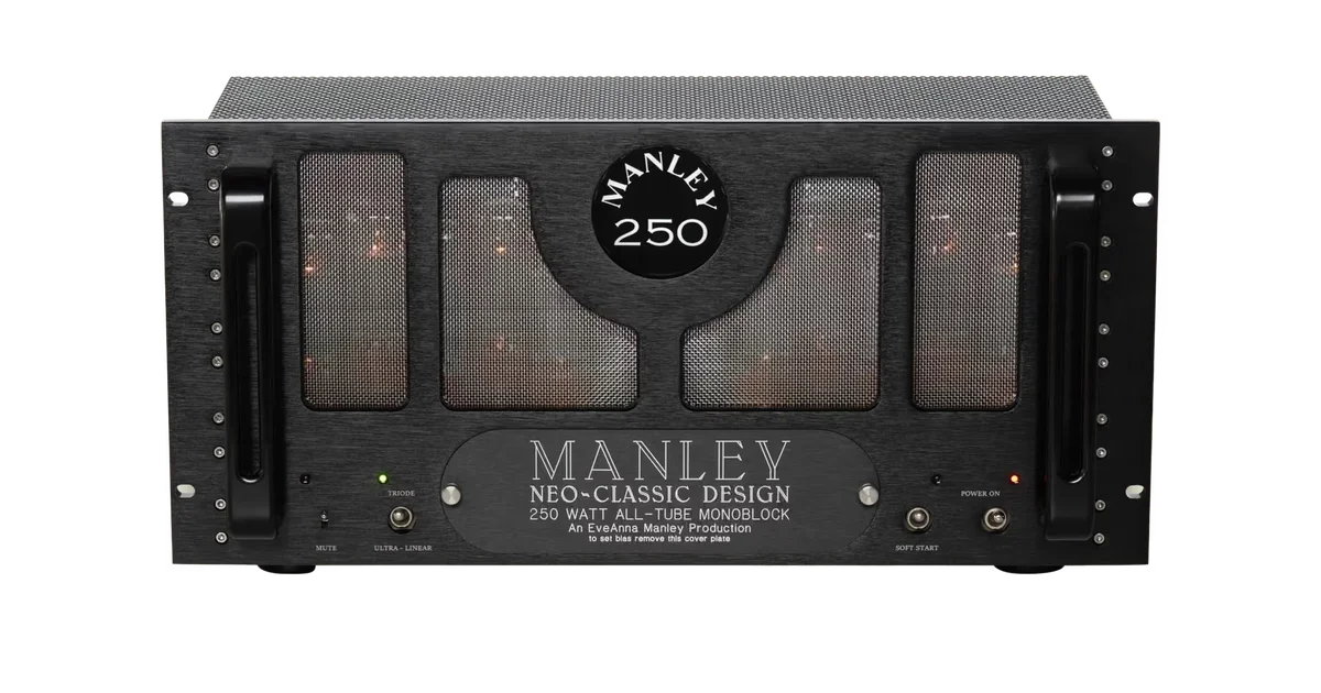 Neo-Classic 250W Monoblock Power Amplifier