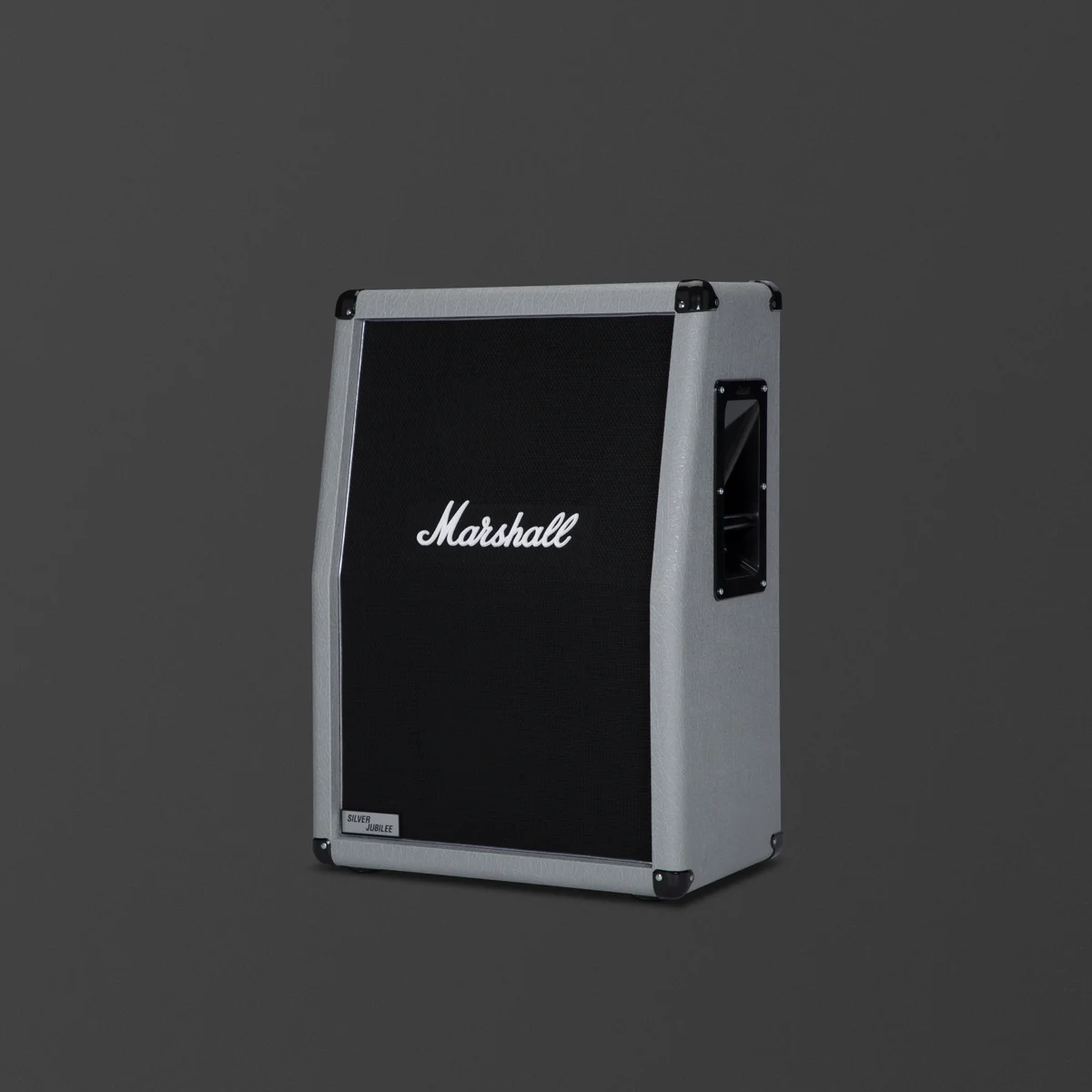 2536A 2x12 Angled Cabinet