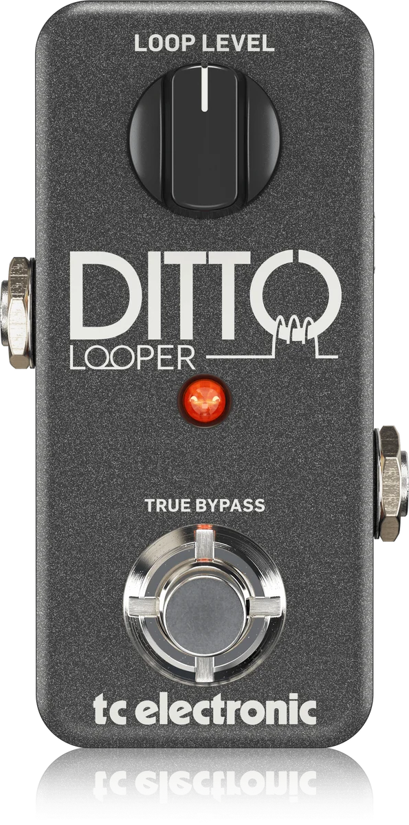 DITTO+ LOOPER