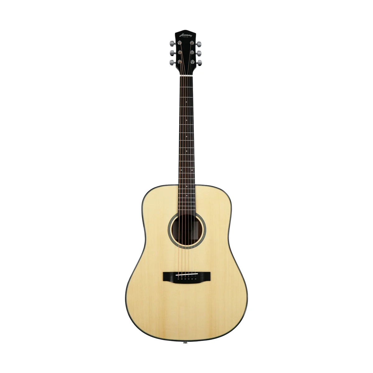 Foundation Series Terra FS Dreadnought Acoustic Guitar