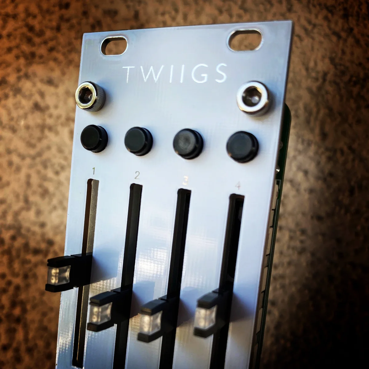 Twiigs