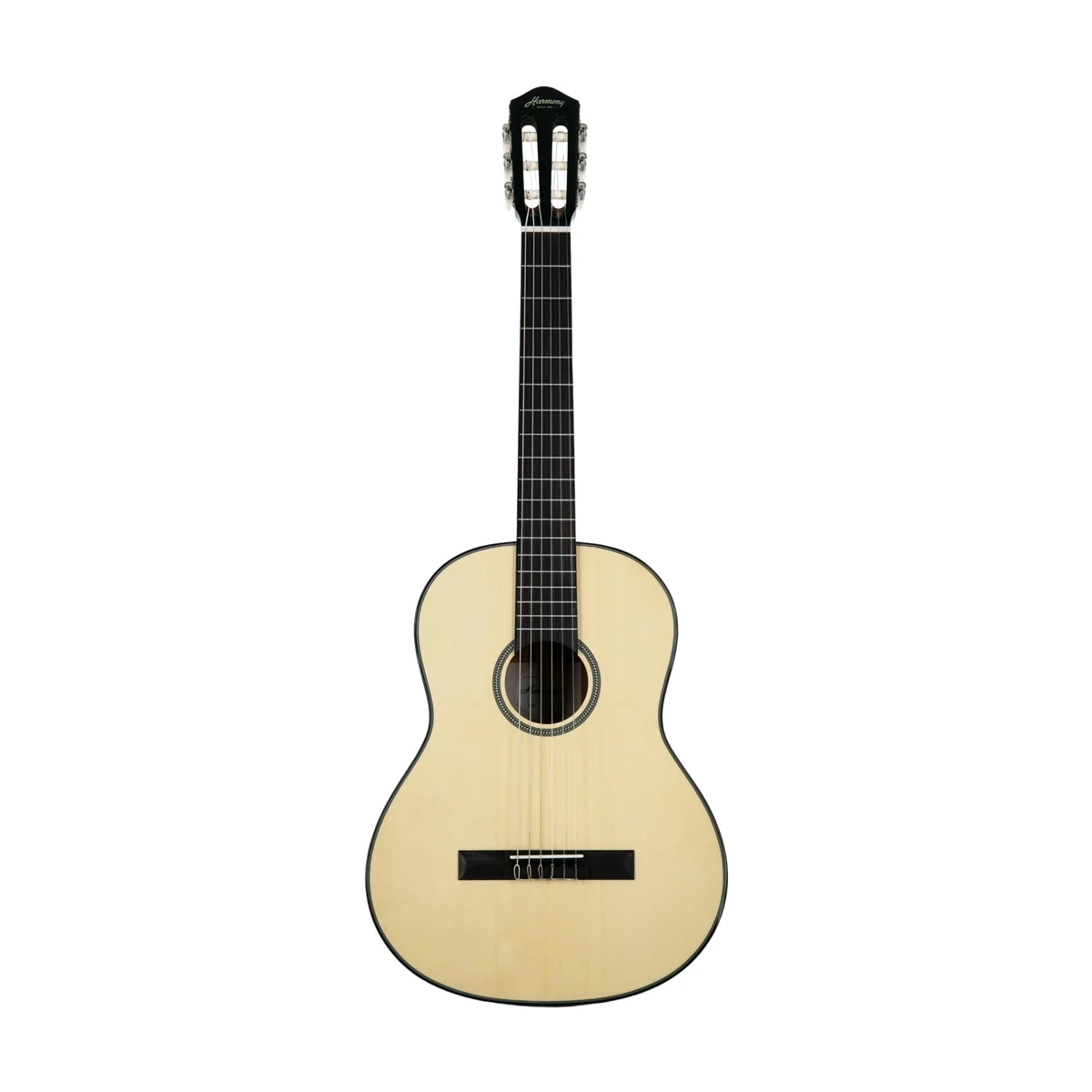 Foundation Series Terra FS Classical Guitar