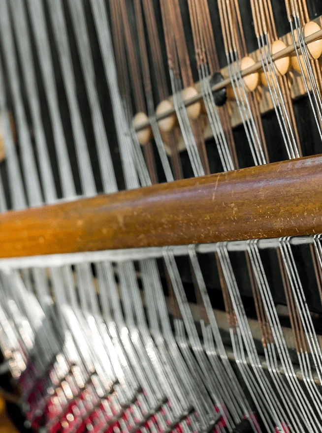 Cimbalom Ensemble