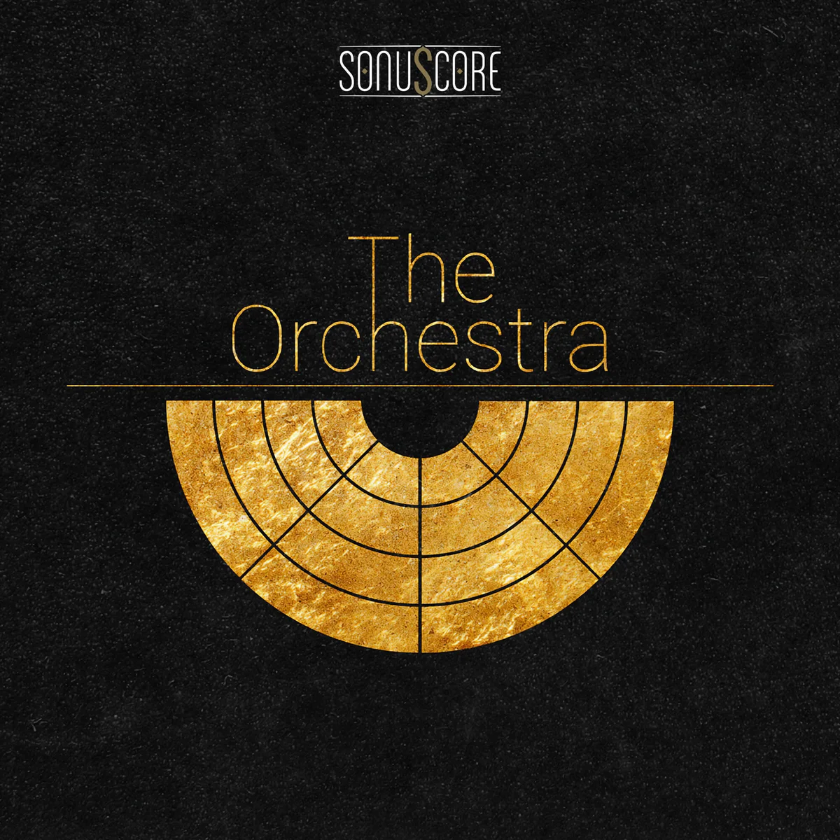 The Orchestra