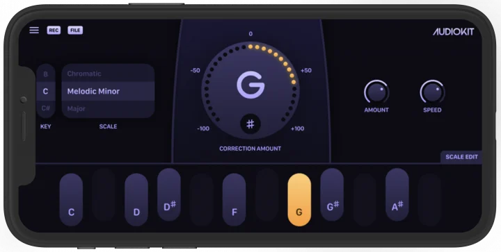 AudioTune Pitch Correction