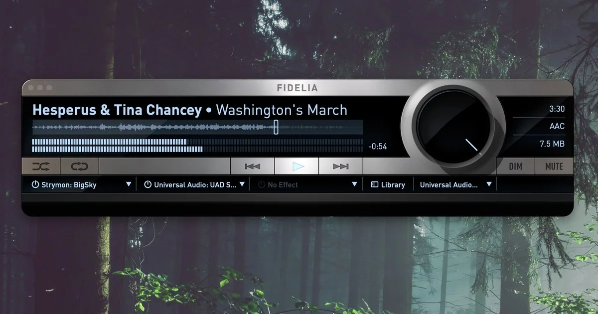 Audio Unit Manager