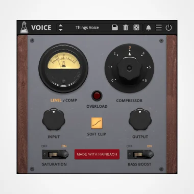 Things Voice