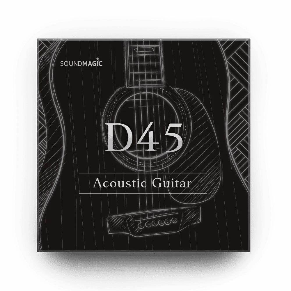 Acoustic Guitar D45